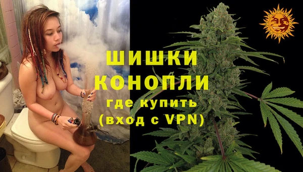 jwh Богородск