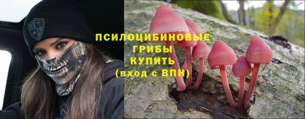 таблы Богородицк