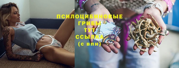 кокаин перу Богданович