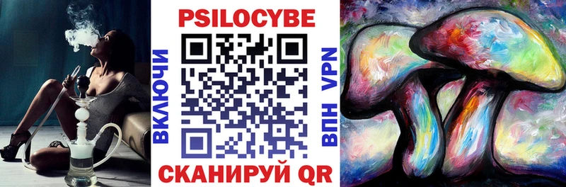 купить наркотики сайты  Среднеуральск  Псилоцибиновые грибы MAGIC MUSHROOMS 