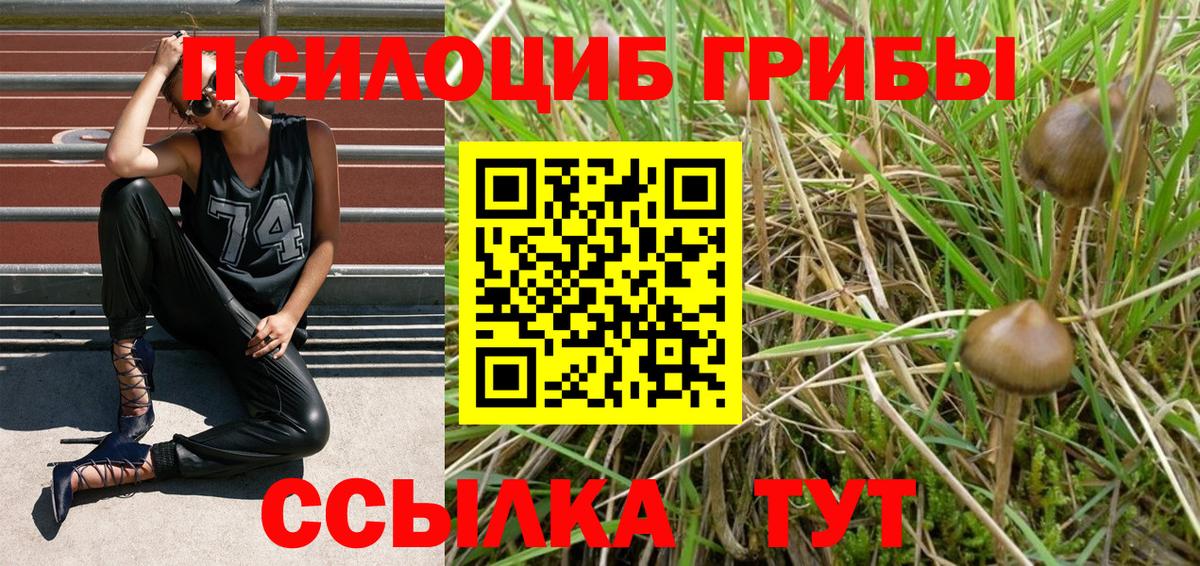 Галлюциногенные грибы Magic Shrooms  Псилоцибиновые грибы мицелий  Вход с VPN  Среднеуральск 