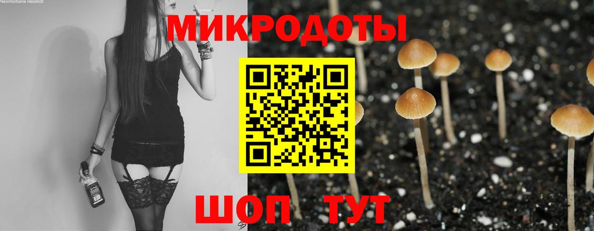 Псилоцибиновые грибы прущие грибы Среднеуральск